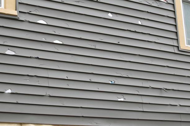 Best Hoarding Cleanup  in Elkridge, MD